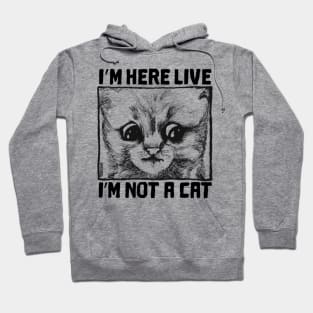 cat, lawyer cat, cat lawyer, cute, kitty, kitten Hoodie